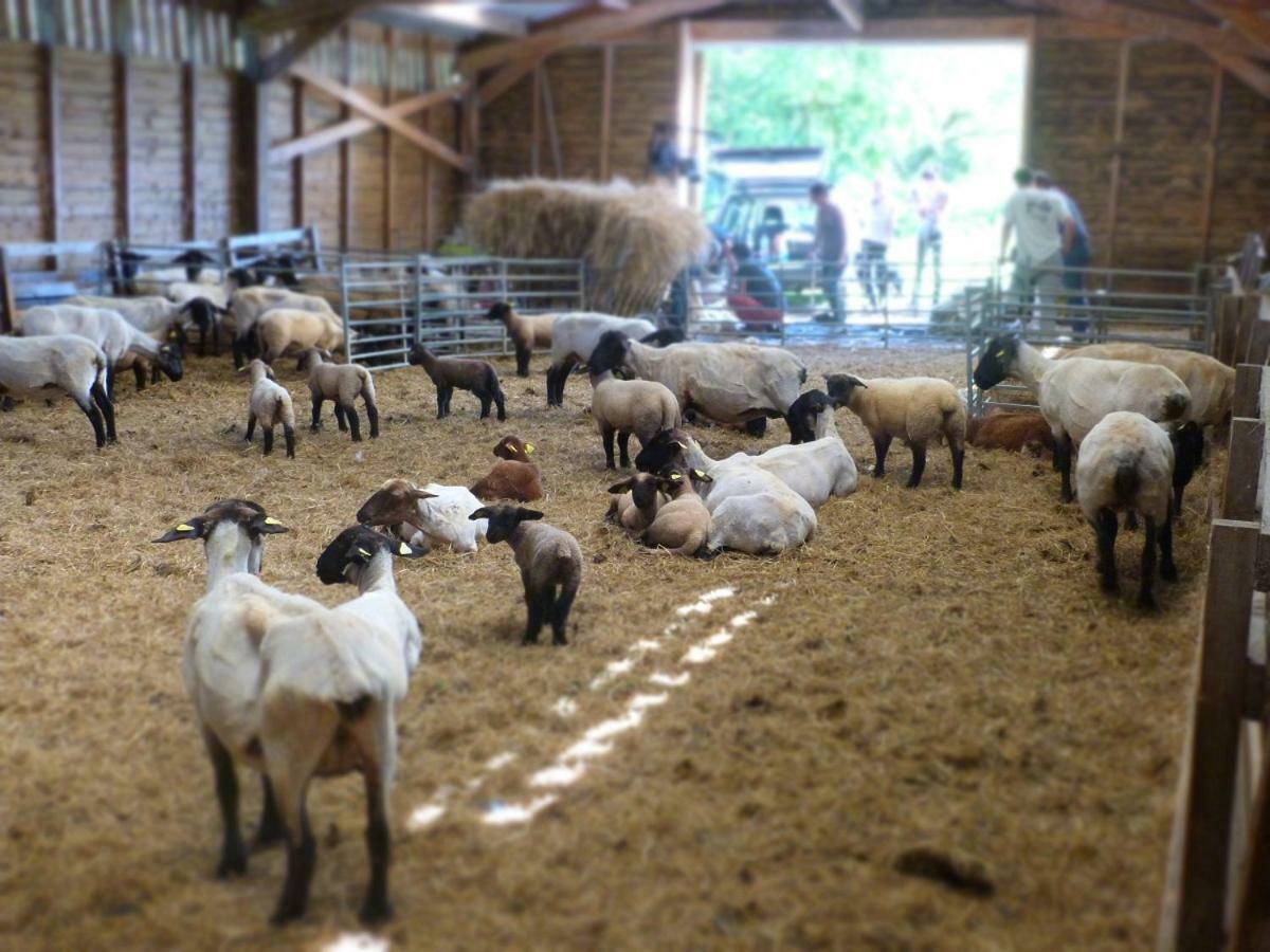 La Ferme Du Vincin Bed & Breakfast Vannes Dış mekan fotoğraf